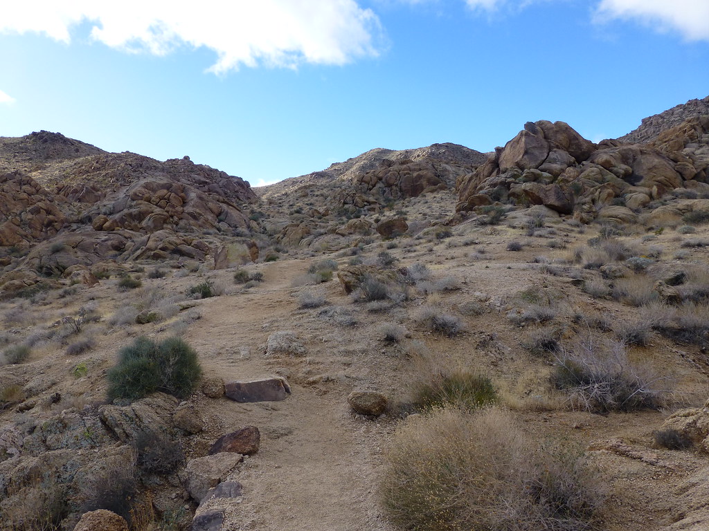 Elk Trail