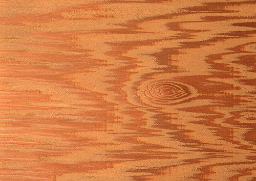CD038 | by aitch0423