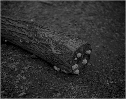 Untitled | by case-ie