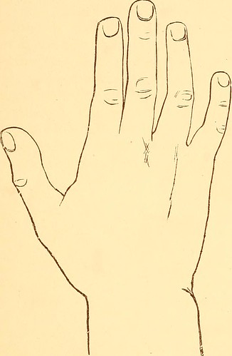 Hand Concise Image from page 48 of