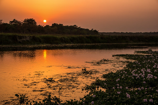 Sunset on the East Rapti River in Chitwan National Park - Nepal