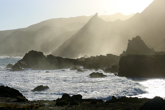 Misty Sea Spray Kupe's Sail Rock Rugged Cape Palliser Coast Wairarapa North Island New Zealand