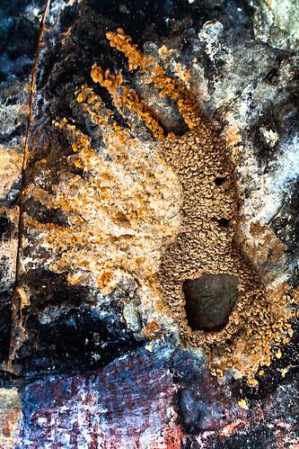 travel nature rock canon landscape southafrica outdoors hiking historic petroglyph easterncape rockart karoo semiarid drylands sigma18250mmf3563dcmacrooshsm ganorafarm