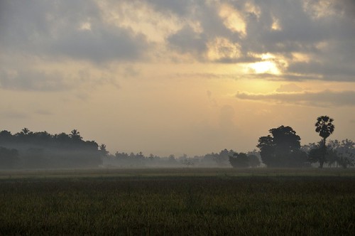 sunrise srilanka lk sonnenaufgang 2012 polonnaruwa northcentralprovince uturumedapalata wadamaththiyamaakaanam උතුරුමැදපළාත வடமத்தியமாகாணம்