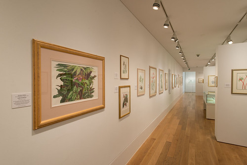 Inspired by Kew in the Shirley Sherwood Gallery of Botanic… | Flickr