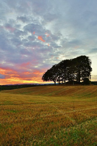 trees sunset sky field clouds scotland cloudy sony perthshire harvest perth alpha