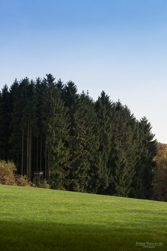 ennepetal herbst landschaft wald wiese autumn forest landscape meadow trees woods