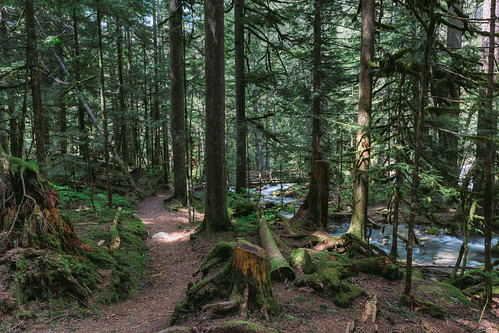 forest trail path trees pacificnorthwest nature shade bridge deceptionfalls canon pnw canoneos5dmarkiii johnwestrock canonef2470mmf28lusm washington