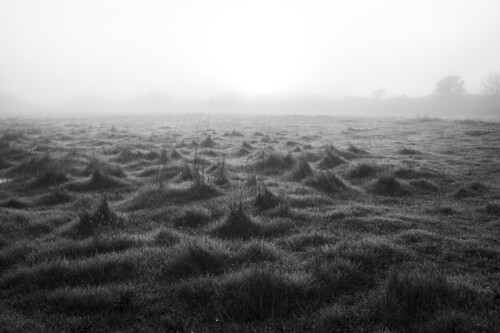 morning light sun fog sunrise landscape blackwhite velvet land nebbia biancoenero nebid