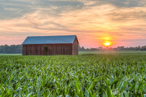 Farm Sunset by AP Imagery, sunset usa barn rural corn farm kentucky ky