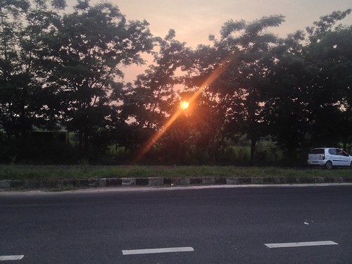 road sunset sun india tree punjab balachaur iphonephotography ricktoor
