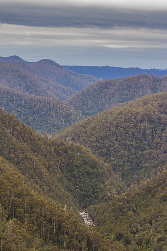 tasmania australia leven canyon