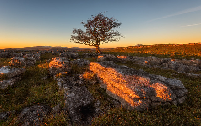 Golden evening