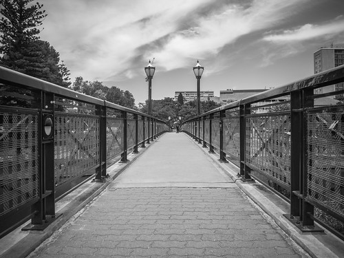 Bridge by Anthony Kernich Photo, Near Adelaide University

lots of leading lines, shapes and 90 degree angles!adelaide adelaidecbd br