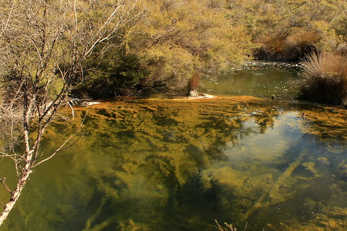 Tokaanu Thermal Walk - hot pool | by MaryD NZ