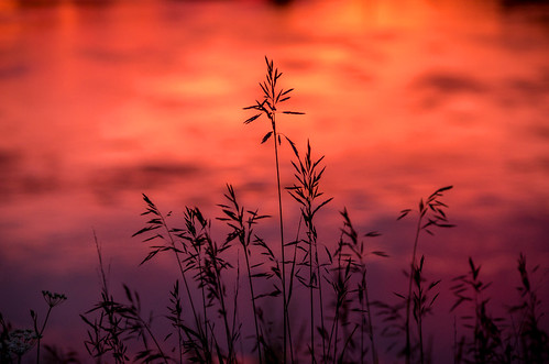 sunset sky storm reflection grass river