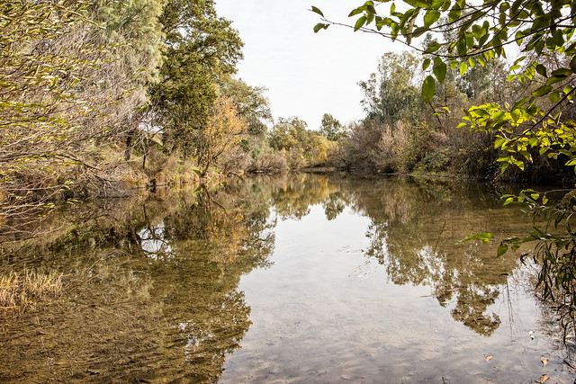 Putah Creek