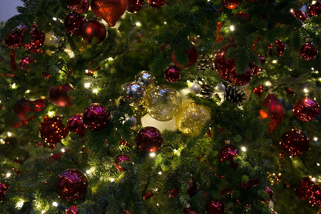 Merry Christmas-2