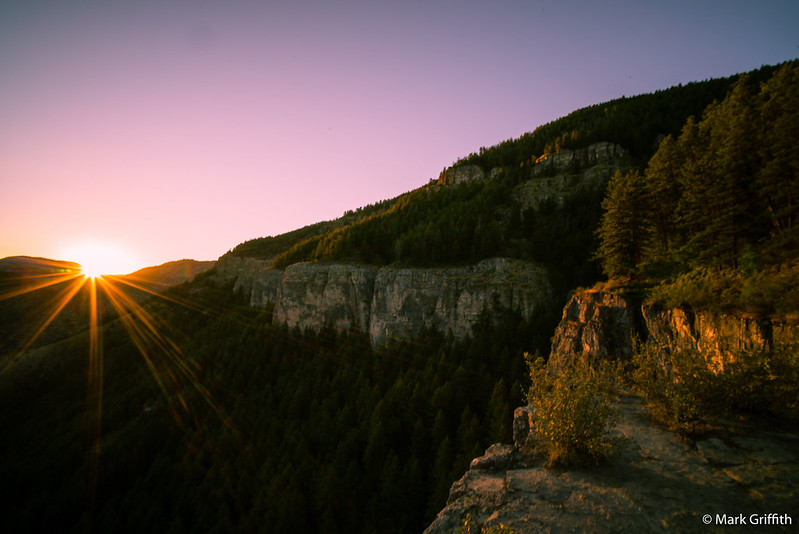 The Crimson Trail