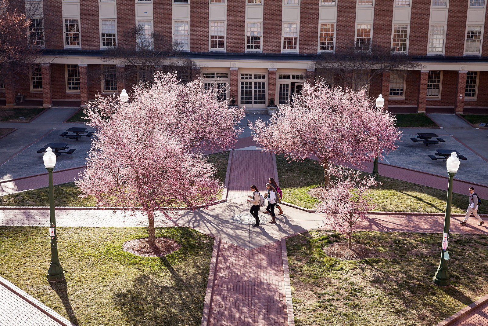 Undergraduate Admissions Wake Forest University Undergraduate Admissions Wake Forest University