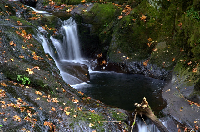 Sweet Creek in the fall