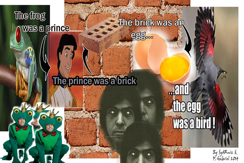 "The frog was a prince, the prince was a brick, the brick … | Flickr