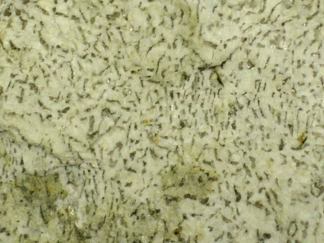 Graphite granite (runite) (North Carolina, USA)