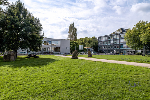 Faculty of Human Sciences