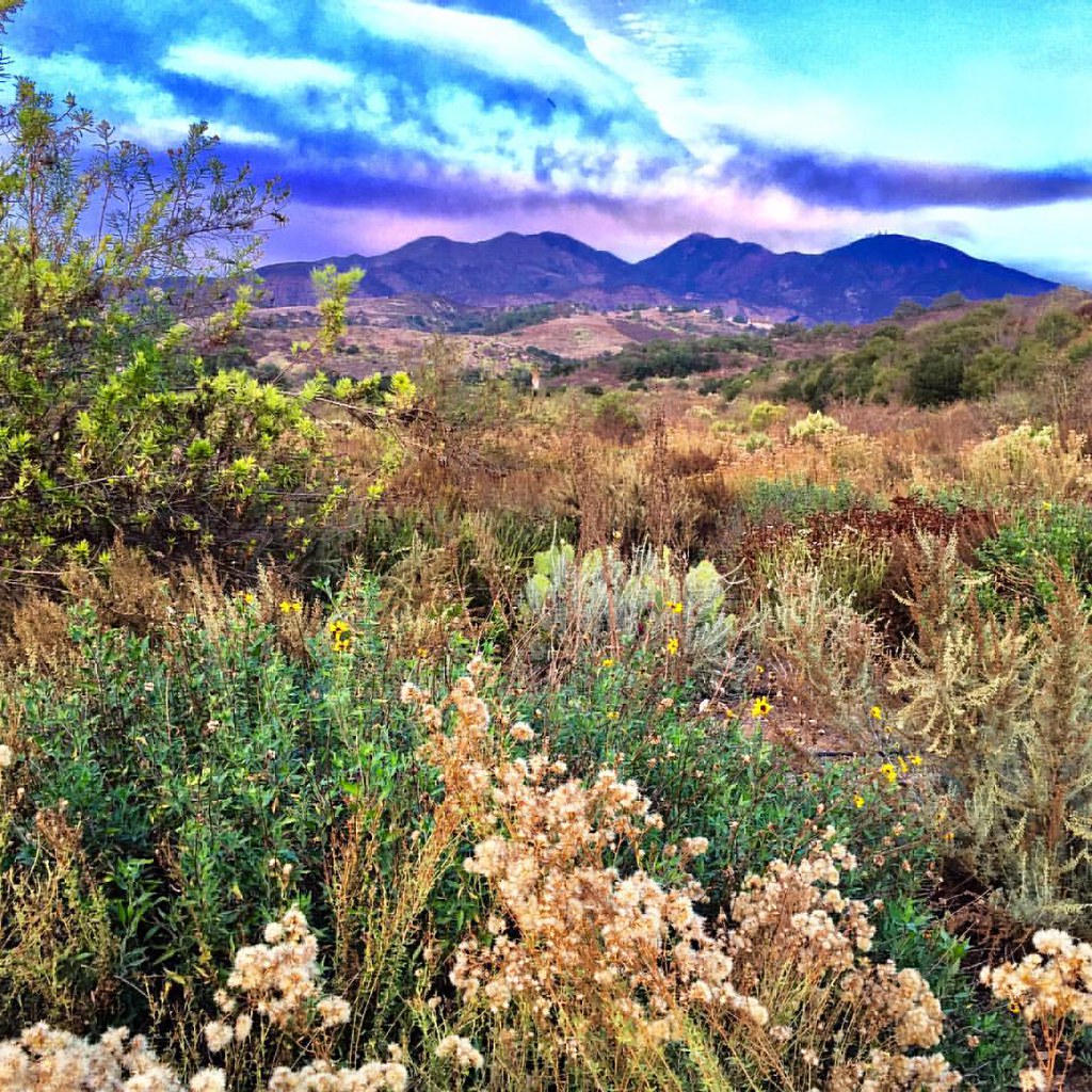 Hoffman Homestead Trail