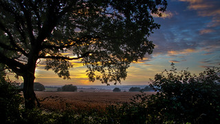 Sunset Over An Essex Wheat Field