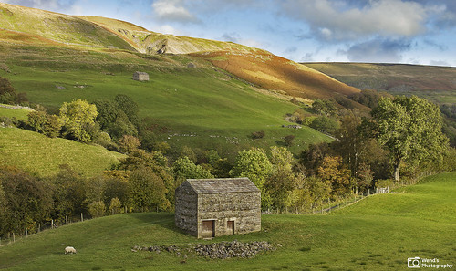 swaledale britain england yorkshire yorkshiredales dales autumn northyorkshire national park photography outdoor rural scenery barns wendsphotography uk