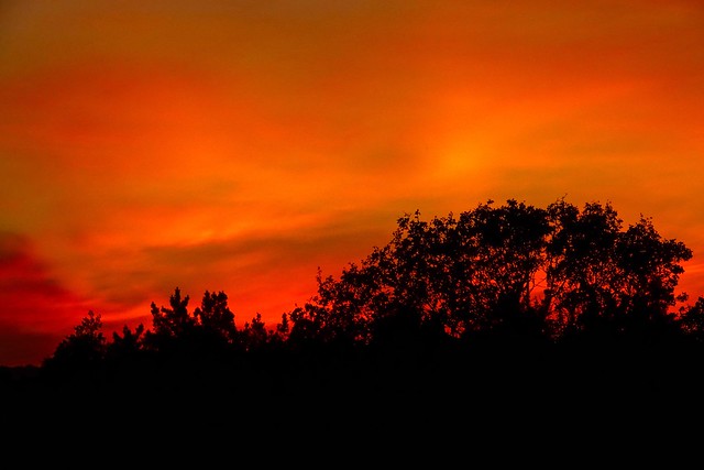 Sonoma Sunset II