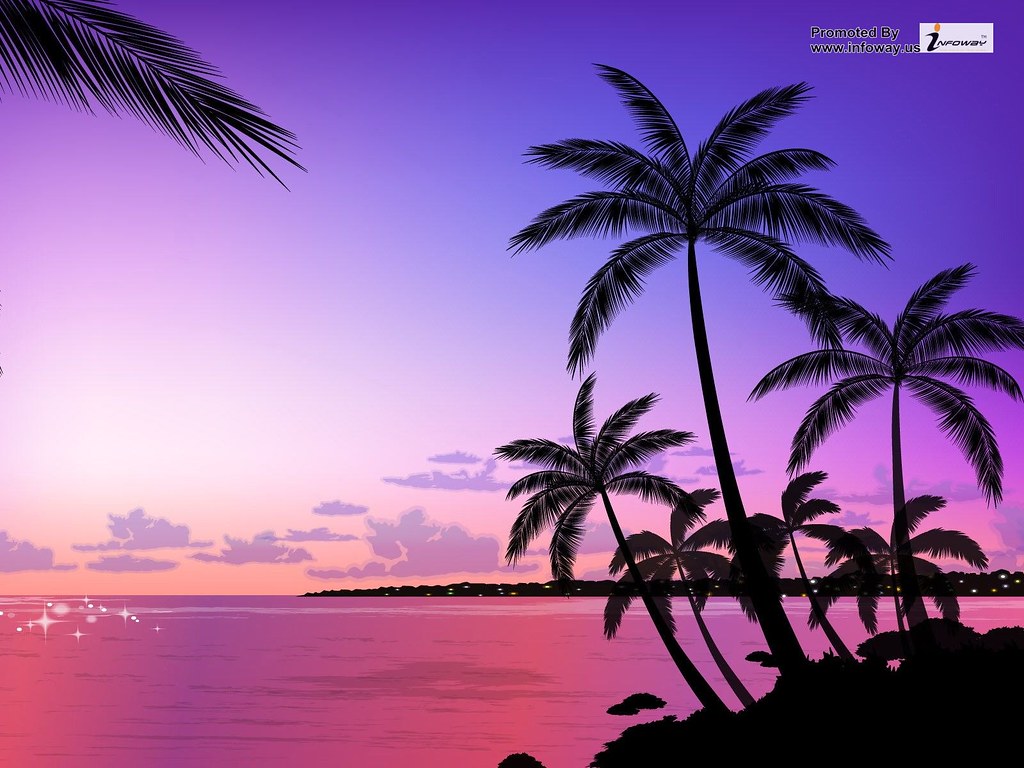 Cool Pink Palm Trees Wallpaper Hd Photos