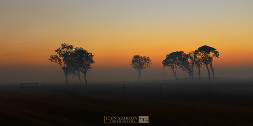 trees fog sunrise john landscape ed smog nt smoke palmerston australia darwin nikkor northern afs territory northernterritory bushfire middlepoint topend 2470mm azarcon f28g nikond800 jrazarcon 2014week35