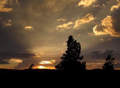 sunset summer arizona sky southwest nature beauty forest skyscape outdoors evening view sundown silhouettes adventure explore monsoon edge rim exploration discovery stormclouds stormyweather mogollonrim therim thunderstorms highcountry beammeup coconinonationalforest coloradoplateau coconinonf zoniedude1 earthnaturelife canonpowershotg12 7600ftelevation rimexpedition2014