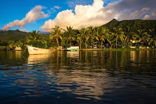 Предзакатный снимок в деревне. La Gaulette #mauritius #маврикий #фотографмаврикий #фотографнамаврикии #маврикийфотограф #alexeyohrim #сони #sony #dakine #dakinerussia #underwater #underwaterworld #un by alexeyohrim, instagramapp square squareformat iphoneography uploaded:by=instagram
