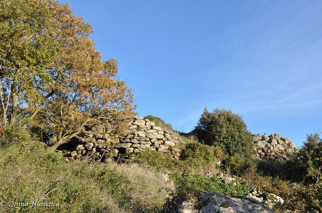 area archeologica di Carrarzu Iddia, Bortigali