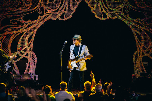 Steve Miller Band