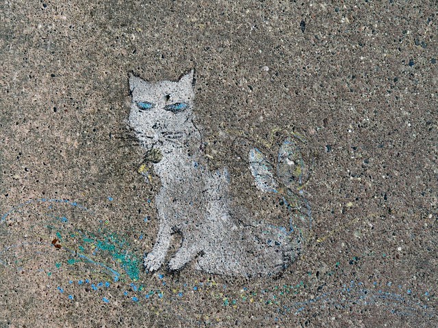 Sidewalk Kitty