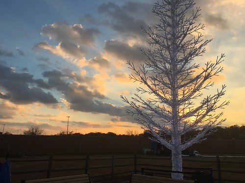 c2016 November 15, Sunset Outside ICE iPhone 6sc2016 November 15, Sunset Outside ICE iPhone 6s by King Kong 911, c2016 November 15, Sunset Outside ICE iPhone 6ssunset su clouds bright trees