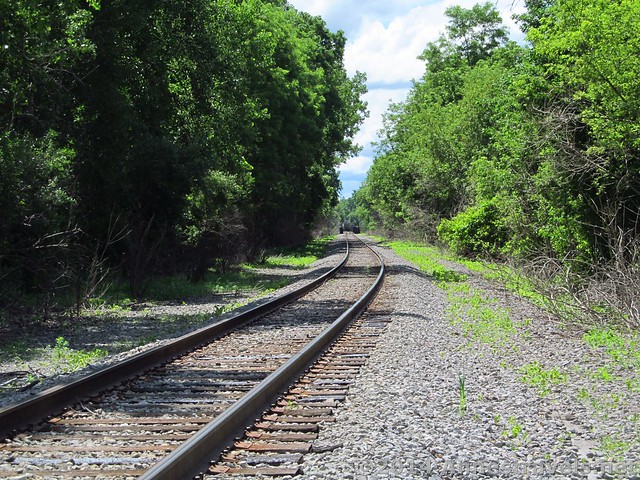 Railroad Tracks near Mount Morris