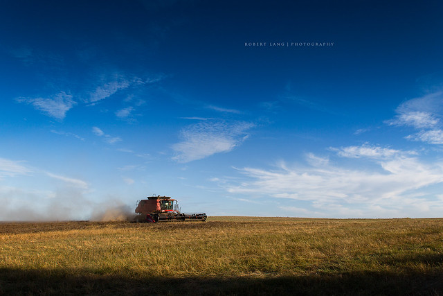 Harvest season in rural Australia