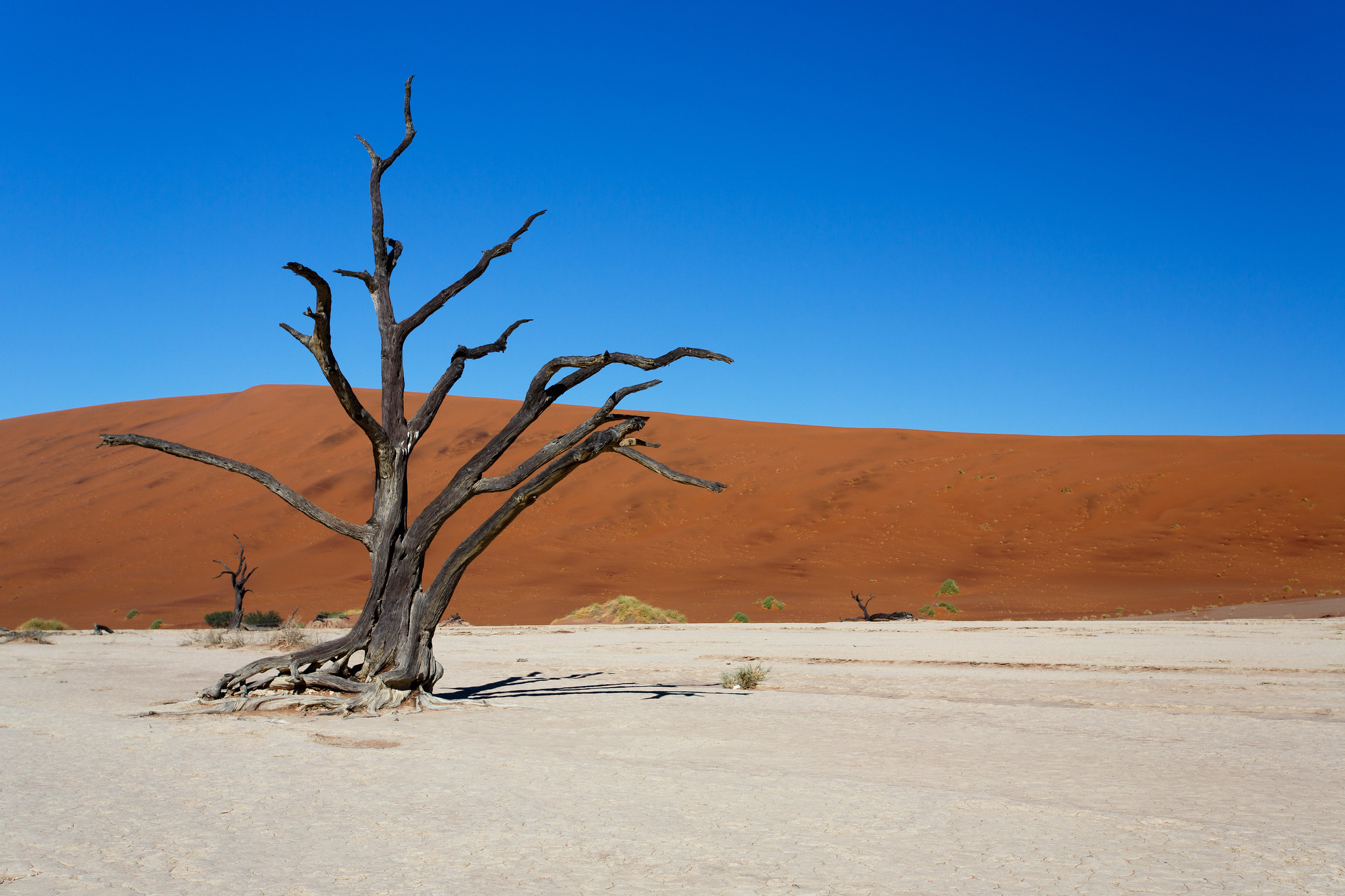 Dead Vlei - Namibia