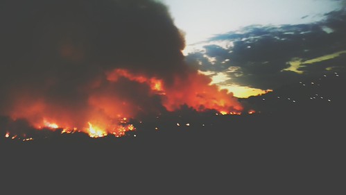 Fire | by schoeneus