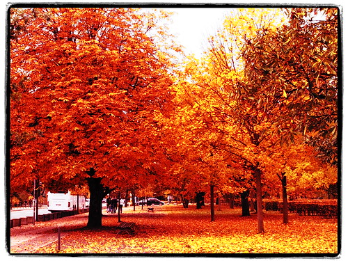 platzderrepublik germany deutschland berlin herbst autmn automne autumn