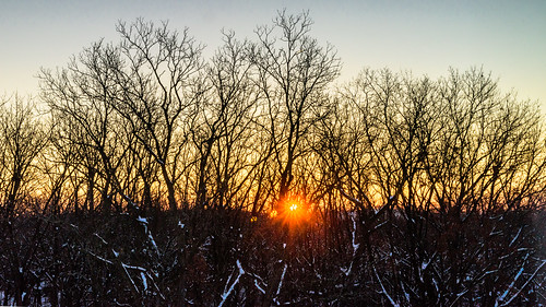 waukeshacounty sunrise winter dawn trees sky snow wisconsin waukesha silhouette cold unitedstates us