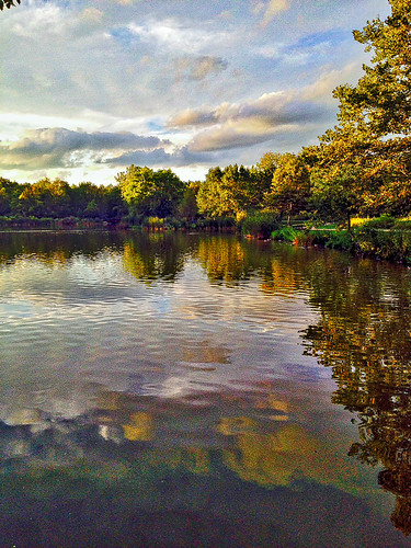 normal_curves by gerhil, An tranquil late summer evening scene at North Park with reflections. 

North Royalton, OH  USAnatur