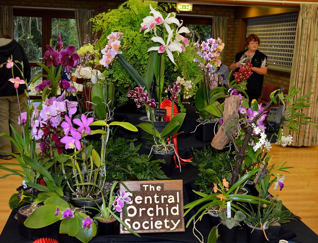 Display - Central Orchid Society