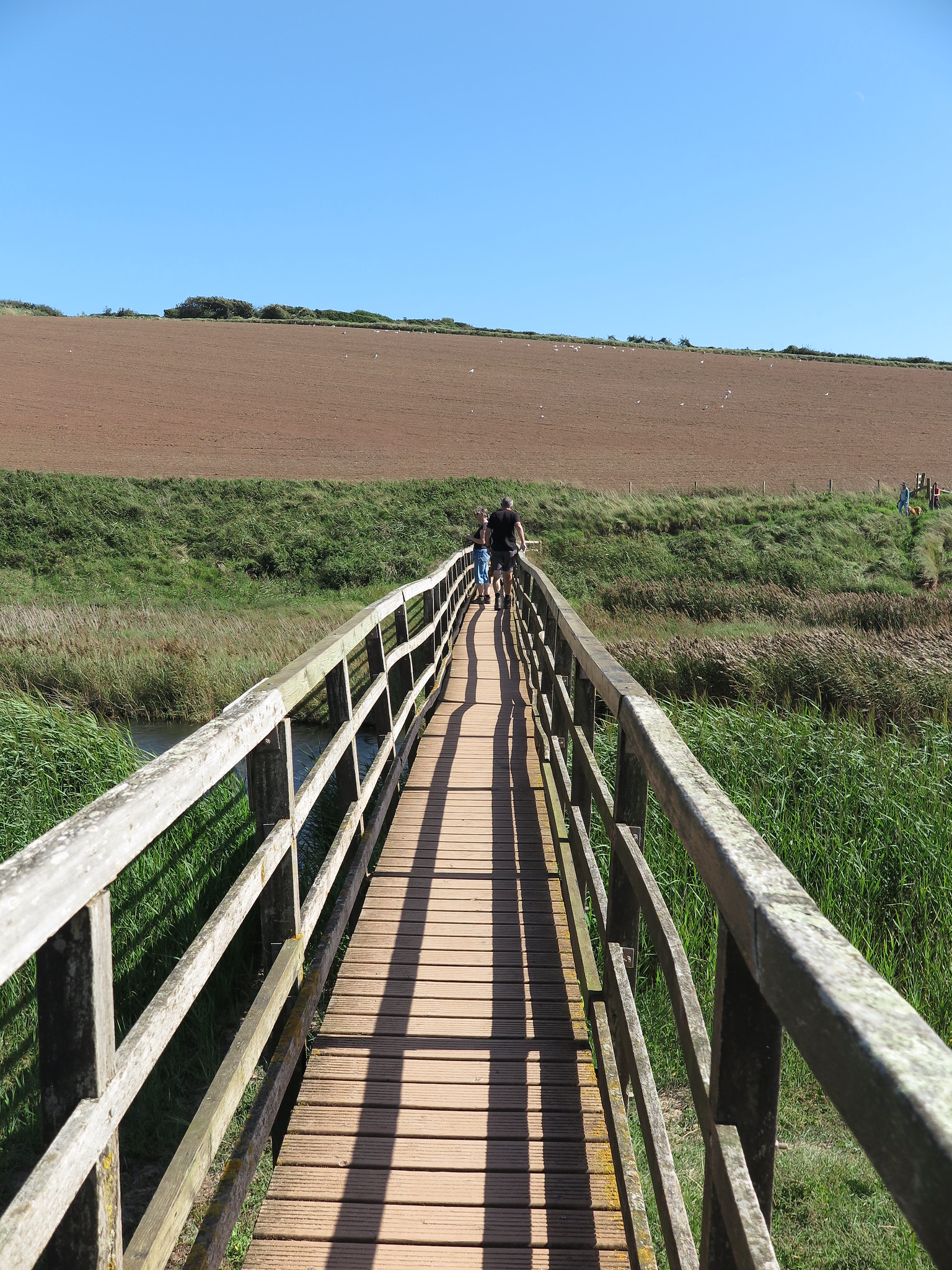 {Coast Walk} (Thurlestone)