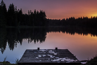 Mirroring the sunset at a dark pond